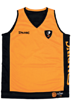 Reversible shirt