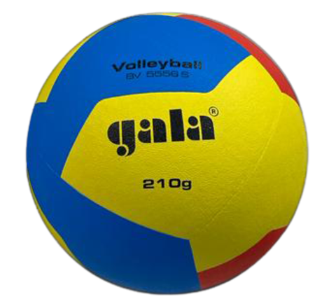 Gala BV Volleybal 5556S - 210gr