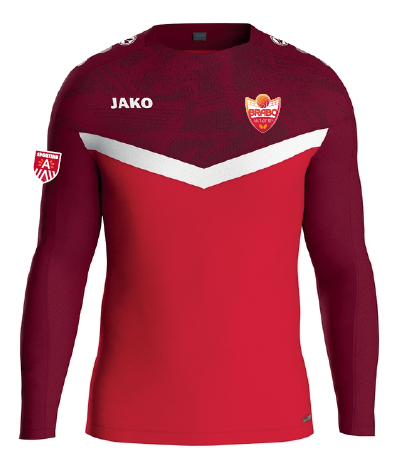 Iconic Sweater - Brabo Antwerp VT
